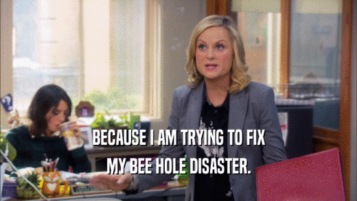 BECAUSE I AM TRYING TO FIX MY BEE HOLE DISASTER. 