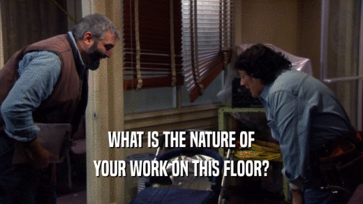 WHAT IS THE NATURE OF YOUR WORK ON THIS FLOOR? 