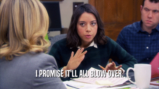 I PROMISE IT'LL ALL BLOW OVER.  