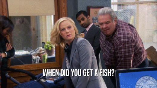 WHEN DID YOU GET A FISH?  
