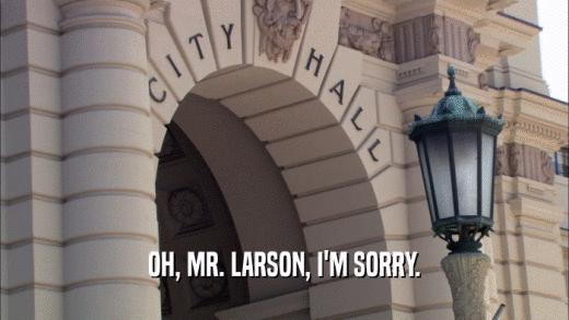 OH, MR. LARSON, I'M SORRY.
  