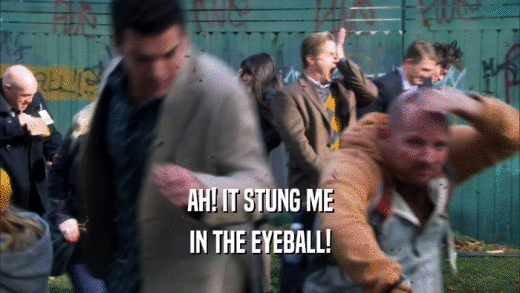 AH! IT STUNG ME IN THE EYEBALL! 