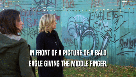 IN FRONT OF A PICTURE OF A BALD EAGLE GIVING THE MIDDLE FINGER. 