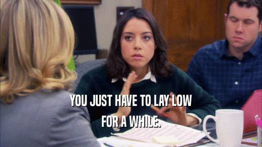 YOU JUST HAVE TO LAY LOW FOR A WHILE. 