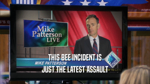 THIS BEE INCIDENT IS JUST THE LATEST ASSAULT 
