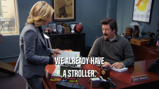WE ALREADY HAVE A STROLLER. 