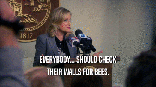 EVERYBODY... SHOULD CHECK THEIR WALLS FOR BEES. 