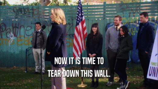 NOW IT IS TIME TO TEAR DOWN THIS WALL. 