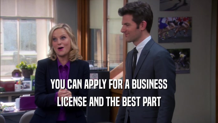YOU CAN APPLY FOR A BUSINESS LICENSE AND THE BEST PART 