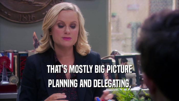 THAT'S MOSTLY BIG PICTURE PLANNING AND DELEGATING, 