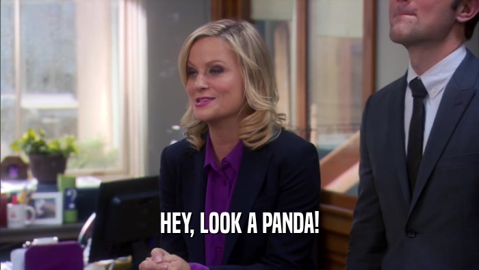 HEY, LOOK A PANDA!  