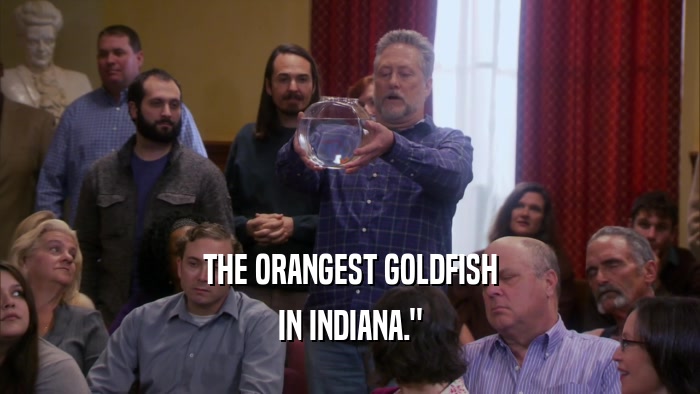 THE ORANGEST GOLDFISH IN INDIANA.