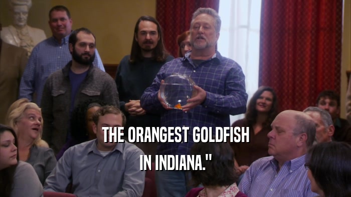 THE ORANGEST GOLDFISH IN INDIANA.
