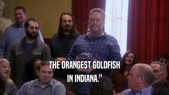 THE ORANGEST GOLDFISH IN INDIANA.