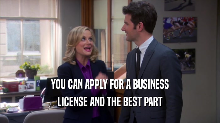 YOU CAN APPLY FOR A BUSINESS LICENSE AND THE BEST PART 
