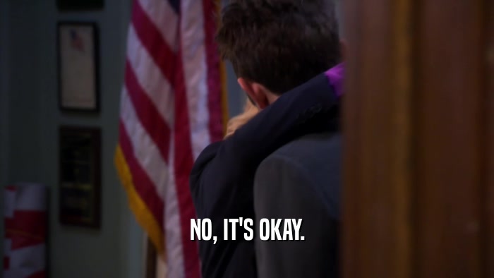 NO, IT'S OKAY.  