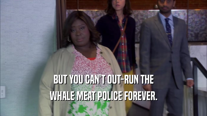 BUT YOU CAN'T OUT-RUN THE WHALE MEAT POLICE FOREVER. 