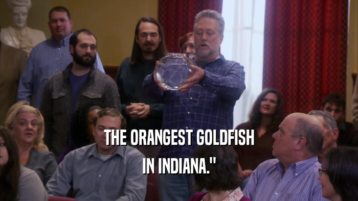 THE ORANGEST GOLDFISH IN INDIANA.