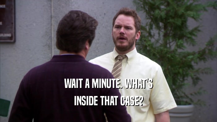 WAIT A MINUTE. WHAT'S INSIDE THAT CASE? 