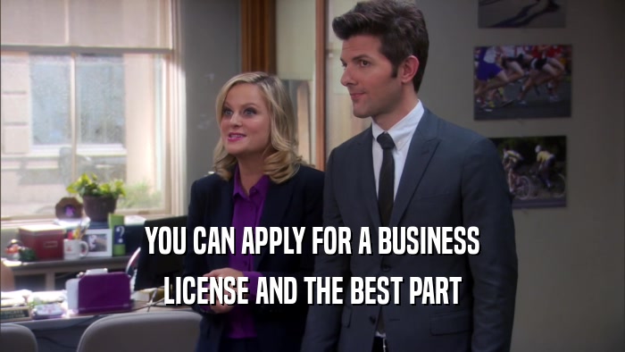 YOU CAN APPLY FOR A BUSINESS LICENSE AND THE BEST PART 