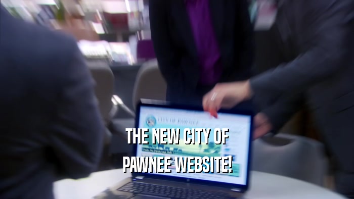 THE NEW CITY OF PAWNEE WEBSITE! 
