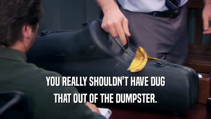 YOU REALLY SHOULDN'T HAVE DUG THAT OUT OF THE DUMPSTER. 