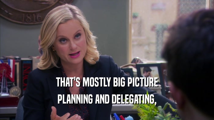 THAT'S MOSTLY BIG PICTURE PLANNING AND DELEGATING, 