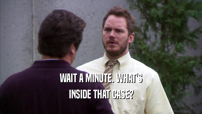 WAIT A MINUTE. WHAT'S INSIDE THAT CASE? 