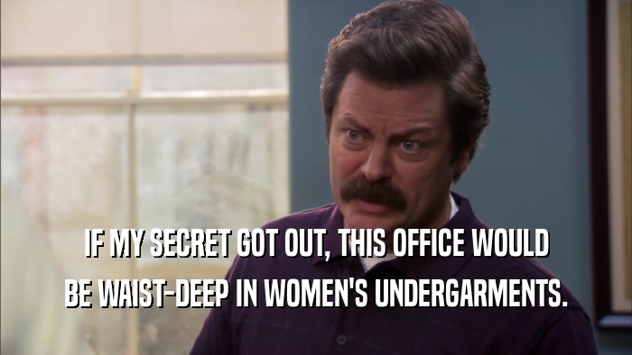 IF MY SECRET GOT OUT, THIS OFFICE WOULD BE WAIST-DEEP IN WOMEN'S UNDERGARMENTS. 