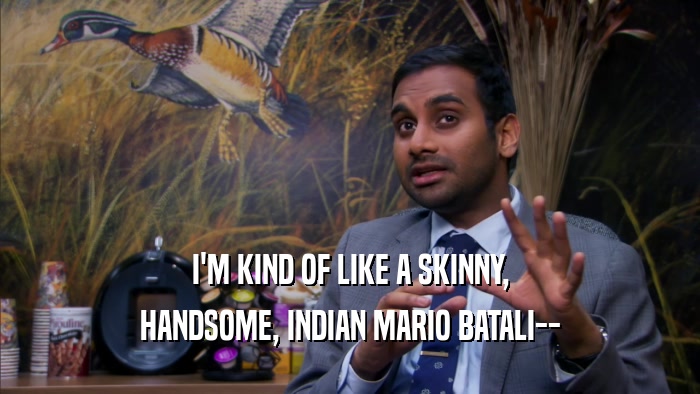 I'M KIND OF LIKE A SKINNY, HANDSOME, INDIAN MARIO BATALI-- 