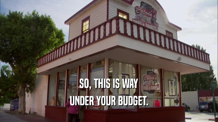 SO, THIS IS WAY UNDER YOUR BUDGET. 