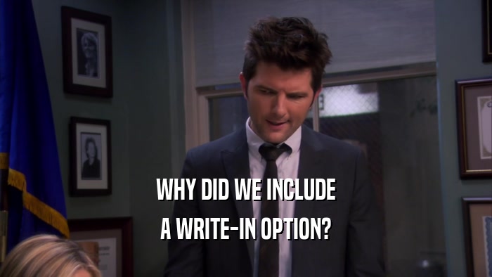 WHY DID WE INCLUDE A WRITE-IN OPTION? 
