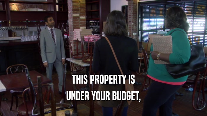 THIS PROPERTY IS UNDER YOUR BUDGET, 