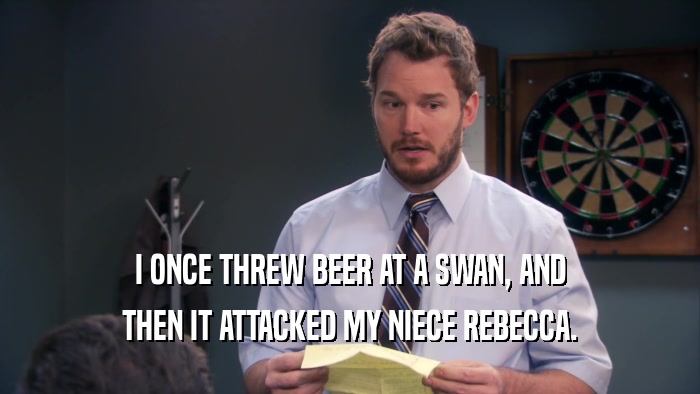 I ONCE THREW BEER AT A SWAN, AND THEN IT ATTACKED MY NIECE REBECCA. 