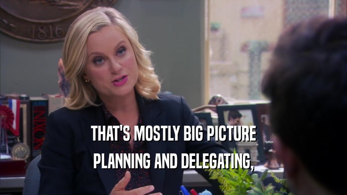 THAT'S MOSTLY BIG PICTURE PLANNING AND DELEGATING, 