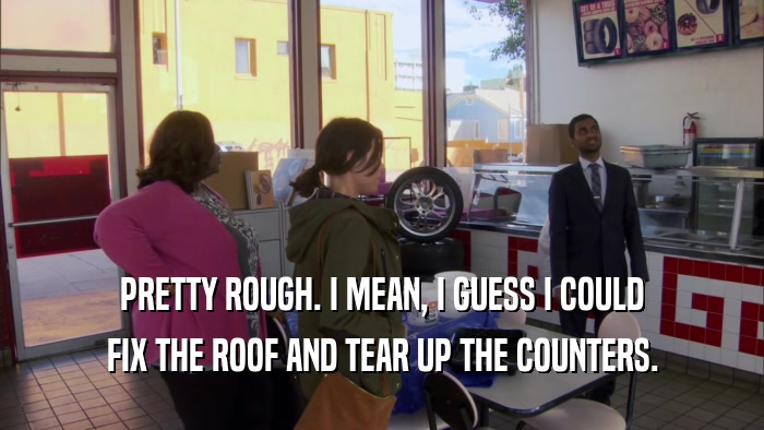 PRETTY ROUGH. I MEAN, I GUESS I COULD FIX THE ROOF AND TEAR UP THE COUNTERS. 