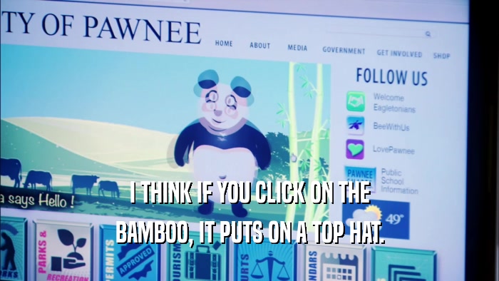 I THINK IF YOU CLICK ON THE BAMBOO, IT PUTS ON A TOP HAT. 