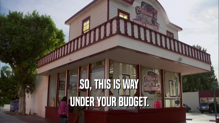 SO, THIS IS WAY UNDER YOUR BUDGET. 