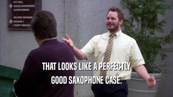 THAT LOOKS LIKE A PERFECTLY GOOD SAXOPHONE CASE. 