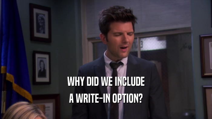 WHY DID WE INCLUDE A WRITE-IN OPTION? 