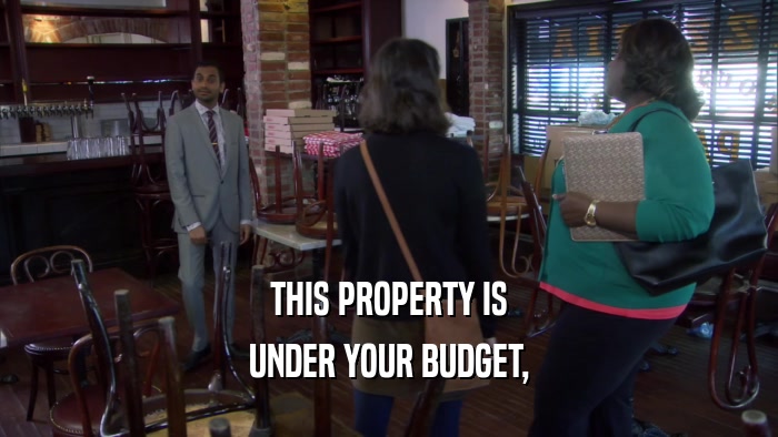 THIS PROPERTY IS UNDER YOUR BUDGET, 
