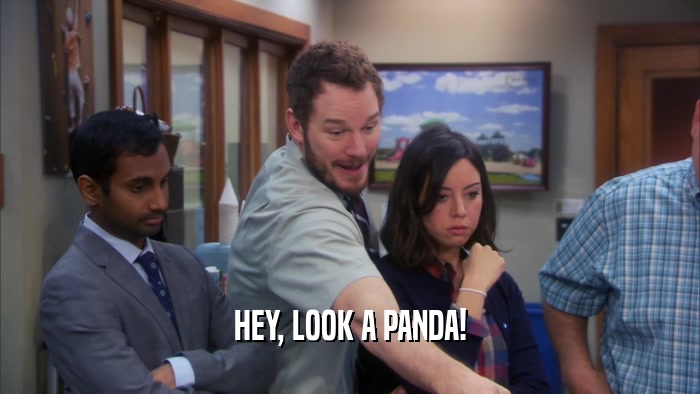 HEY, LOOK A PANDA!  
