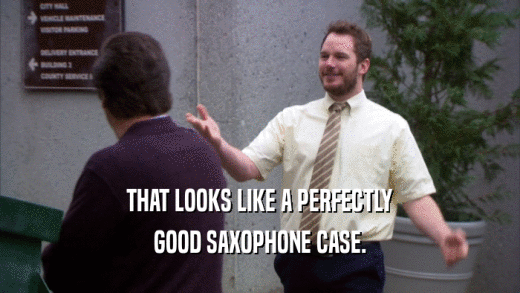 THAT LOOKS LIKE A PERFECTLY GOOD SAXOPHONE CASE. 