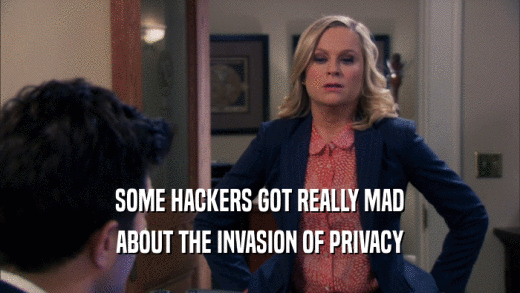SOME HACKERS GOT REALLY MAD ABOUT THE INVASION OF PRIVACY 