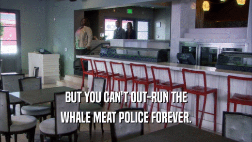 BUT YOU CAN'T OUT-RUN THE WHALE MEAT POLICE FOREVER. 