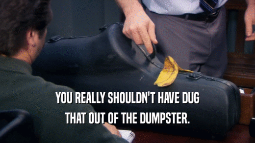 YOU REALLY SHOULDN'T HAVE DUG THAT OUT OF THE DUMPSTER. 