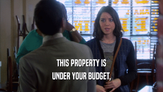 THIS PROPERTY IS UNDER YOUR BUDGET, 