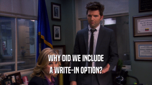WHY DID WE INCLUDE
 A WRITE-IN OPTION?
 