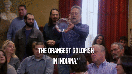 THE ORANGEST GOLDFISH IN INDIANA.