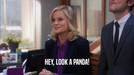 HEY, LOOK A PANDA!  
